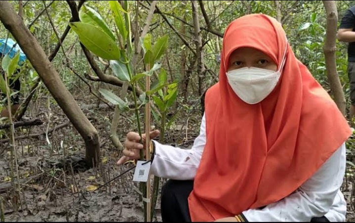 Reni Astuti Bangga Surabaya Punya Kebun Raya Mangrove Pertama di Indonesia