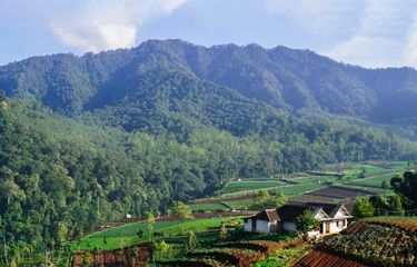 Potret Desa Ketapanrame Mojokerto Sebagai Pemenang Desa Wisata Terbaik ADWI 2023