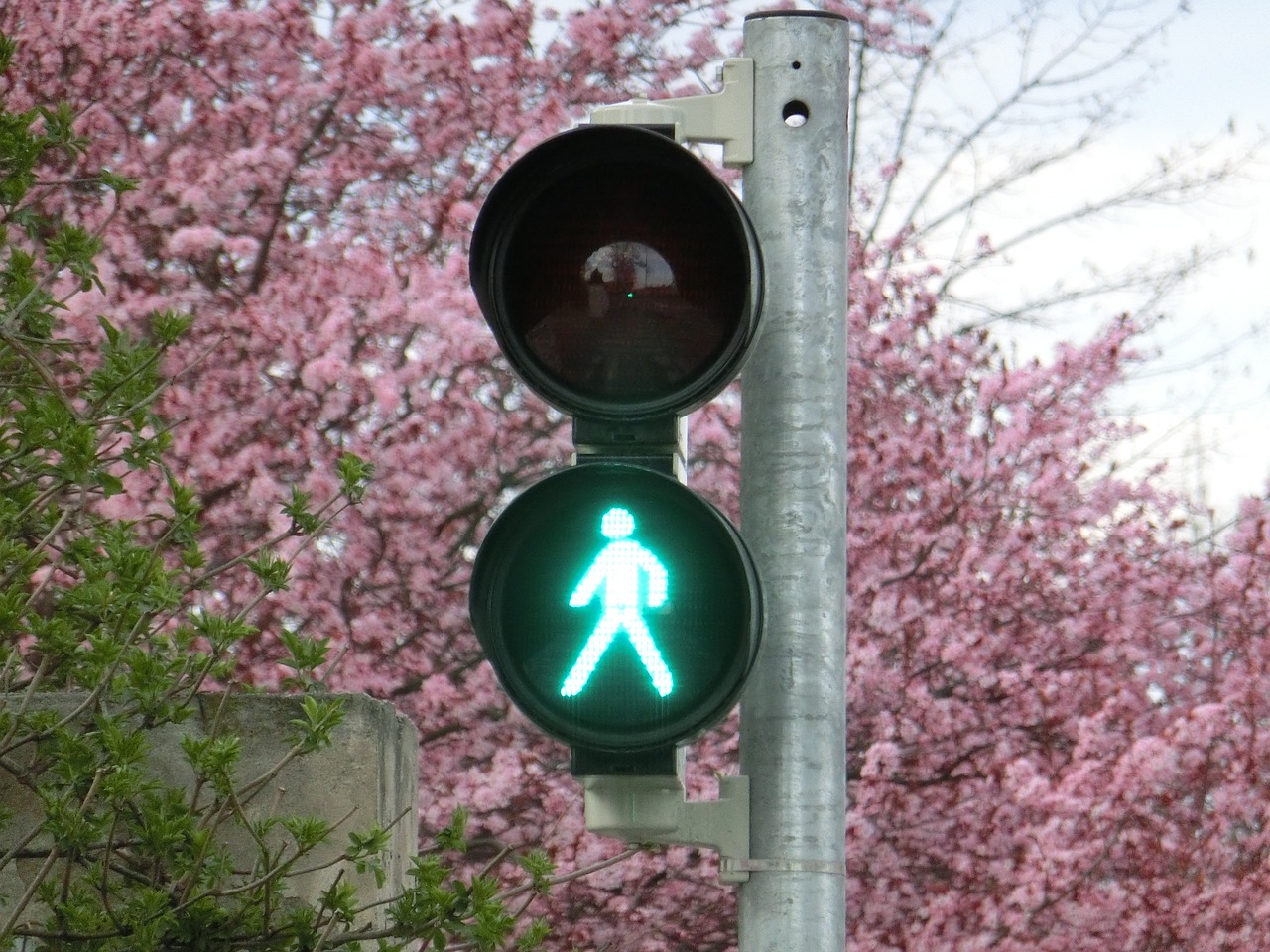 Kebiasaan Jalan Kaki Bisa Kurangi Polusi Udara