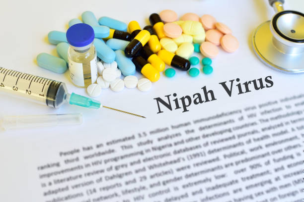 Muncul Virus Nipah, Bakal Jadi Pandemi Jilid Dua?