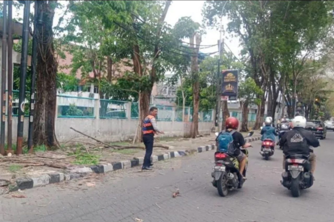 Tertimpa Pohon, Seorang Pengendara Asal Surabaya Ini Meninggal Dunia