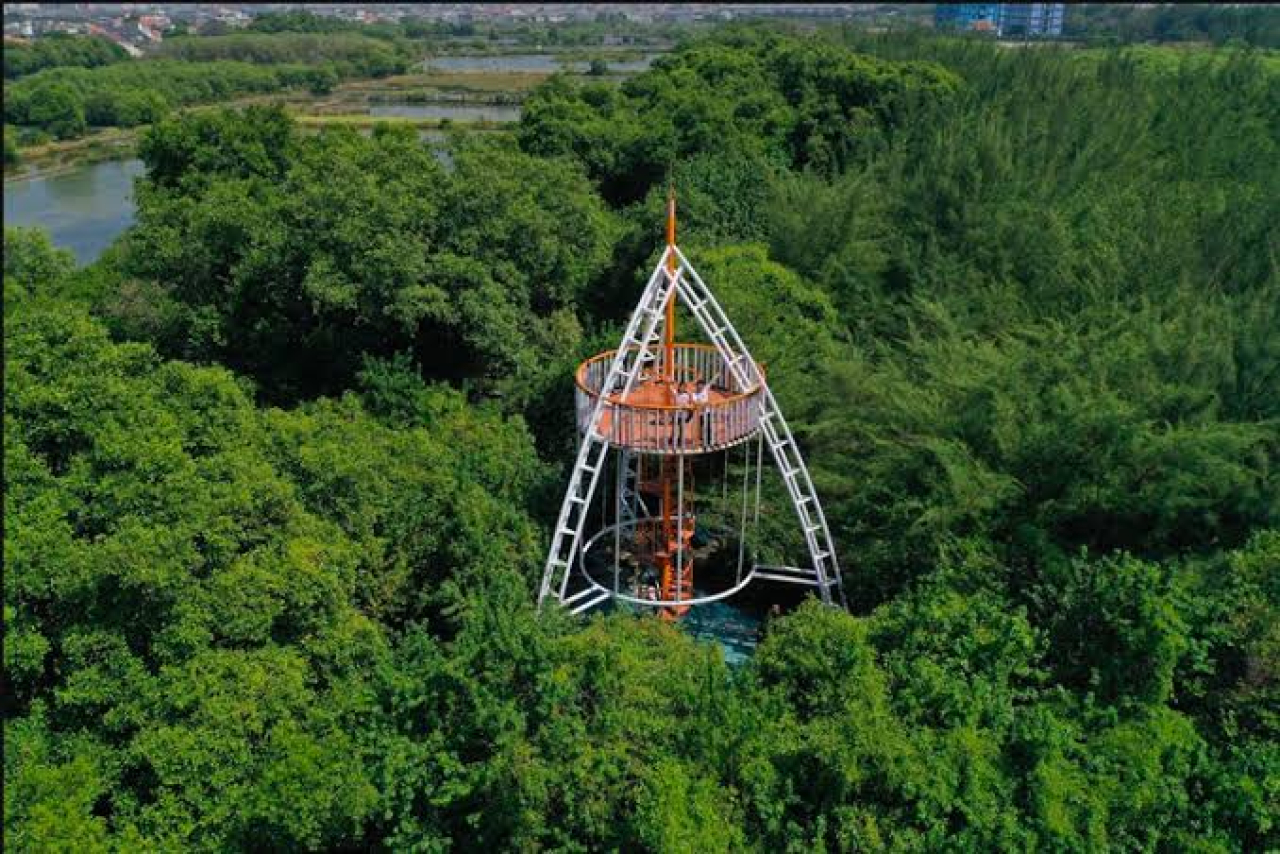 Kebun Raya Mangrove Surabaya Tembus 43 Ribu Pengunjung!