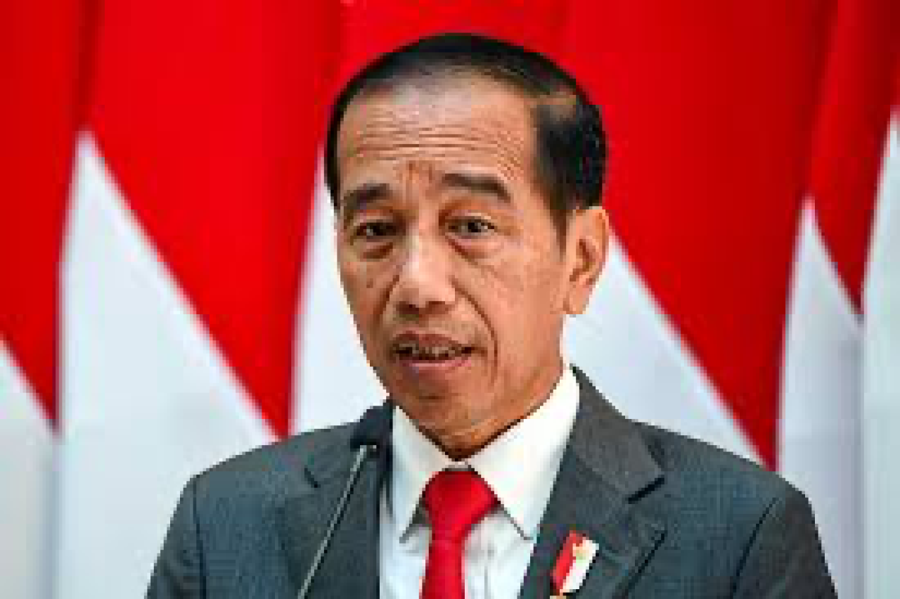 Pakar Hukum: Cawe-cawe Jokowi Harusnya Haram!