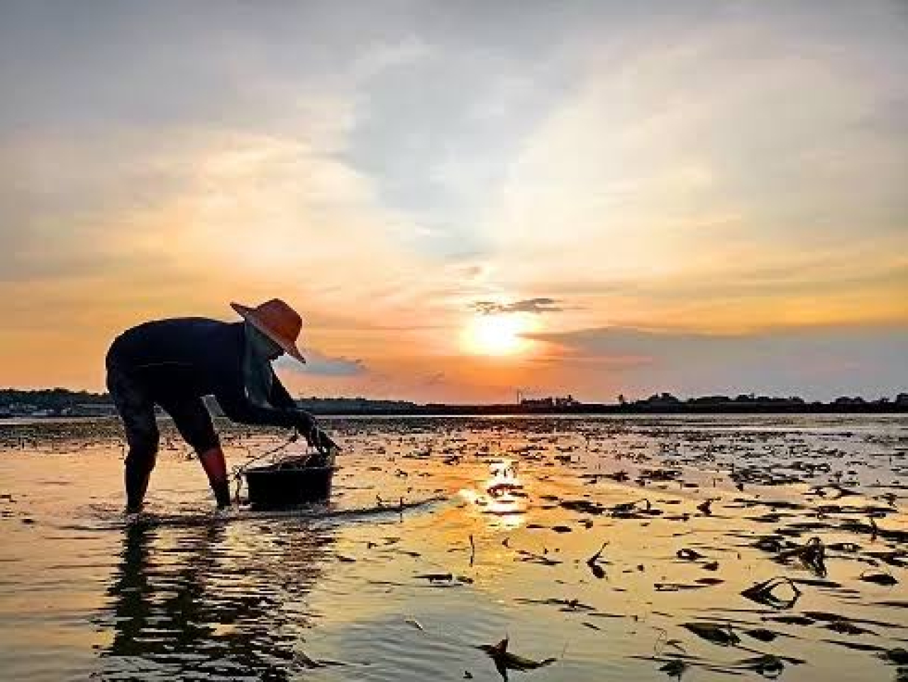 Soal SHM Pesisir Pantai Madura, WALHI Jatim: Ini Ancaman Serius!