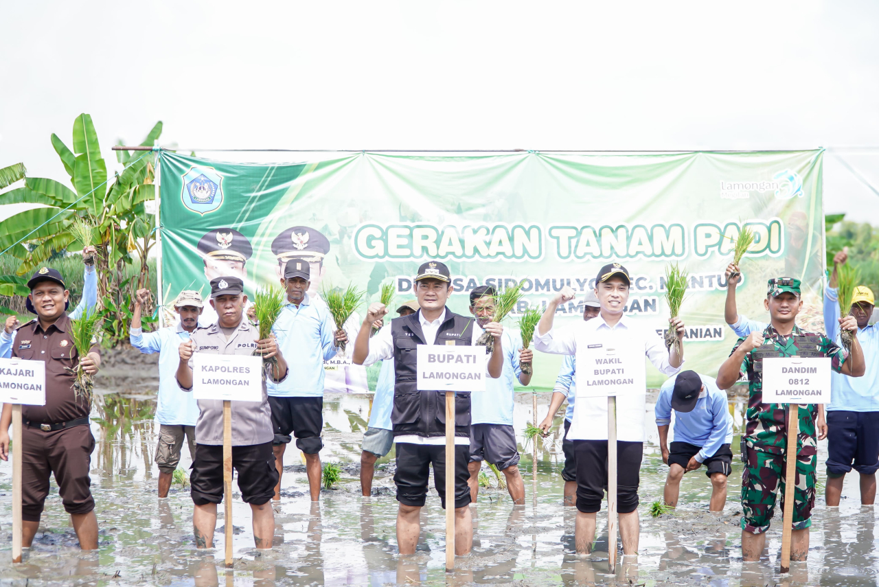 Bupati Yes Lakukan Tanam Padi MT II Untuk Wujudkan Target LTT